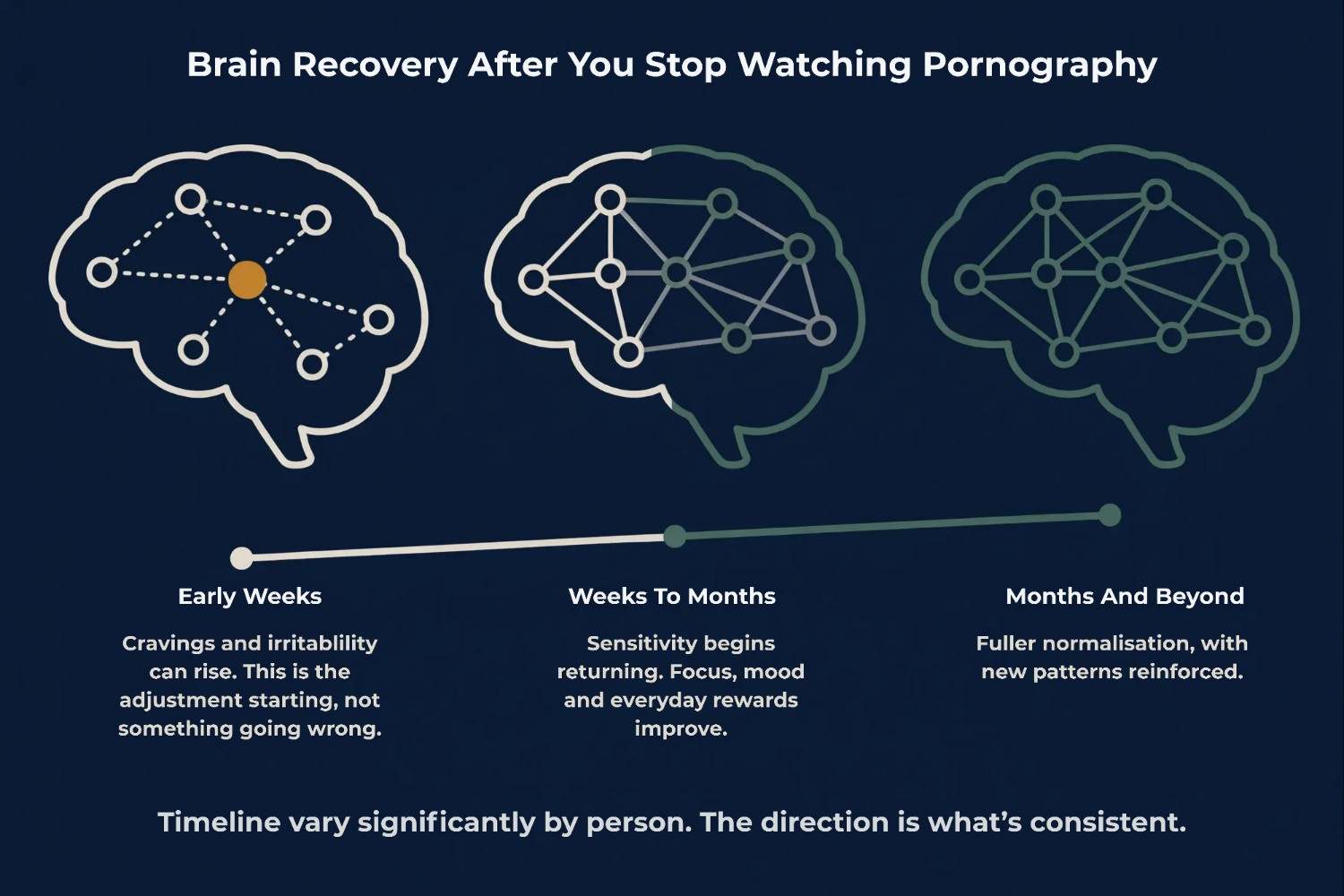 Three-stage brain diagram showing reward pathway recovery from early weeks through several months