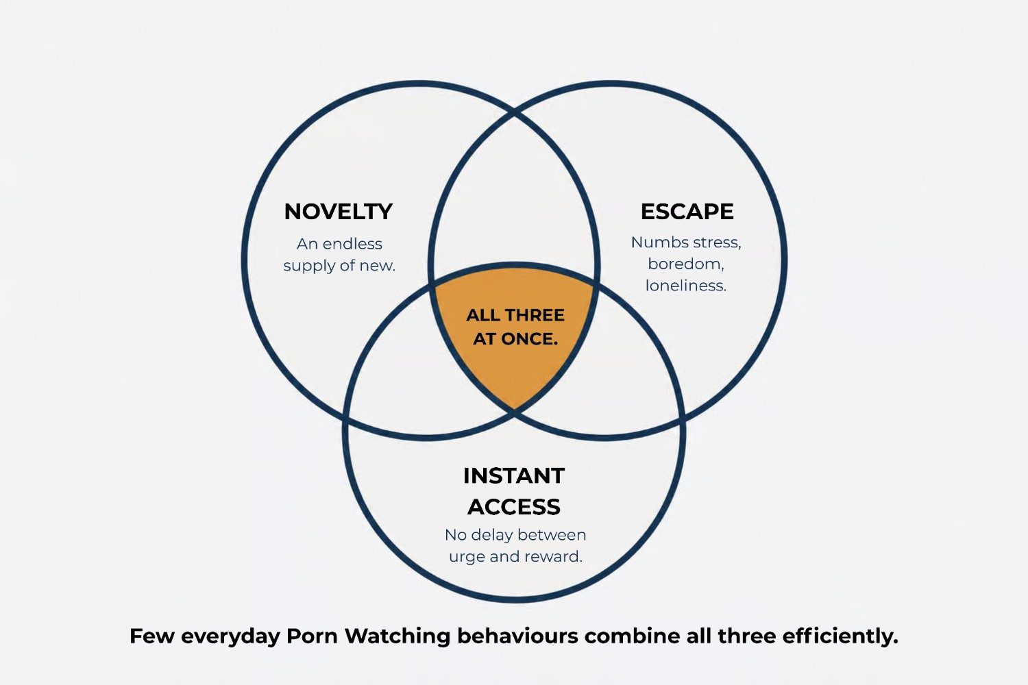 Venn diagram showing novelty, escape and instant access overlapping in pornography