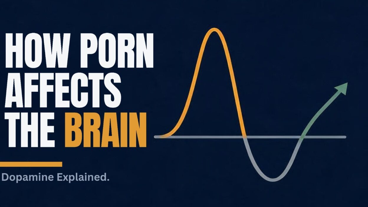 How porn affects the brain, a guide to dopamine, desensitization and recovery
